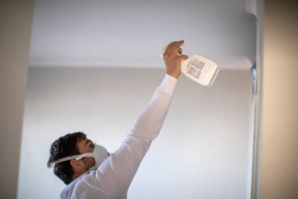 Best Attic Mold Removal  in Barneveld, WI