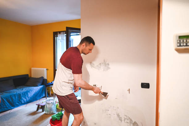 Best Mold Removal Specialists  in Barneveld, WI